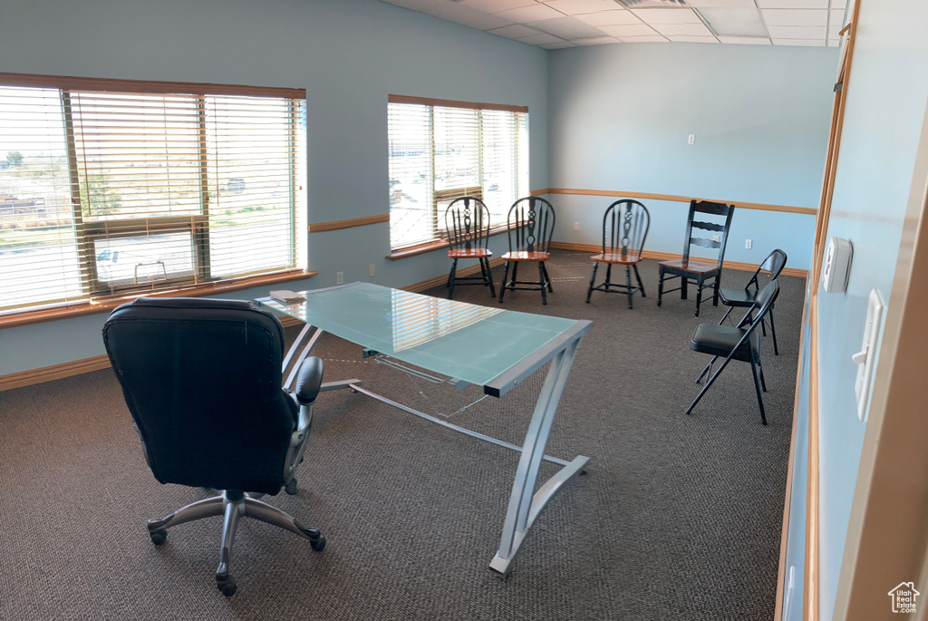 Home office with carpet, baseboards, plenty of natural light, and a paneled ceiling
