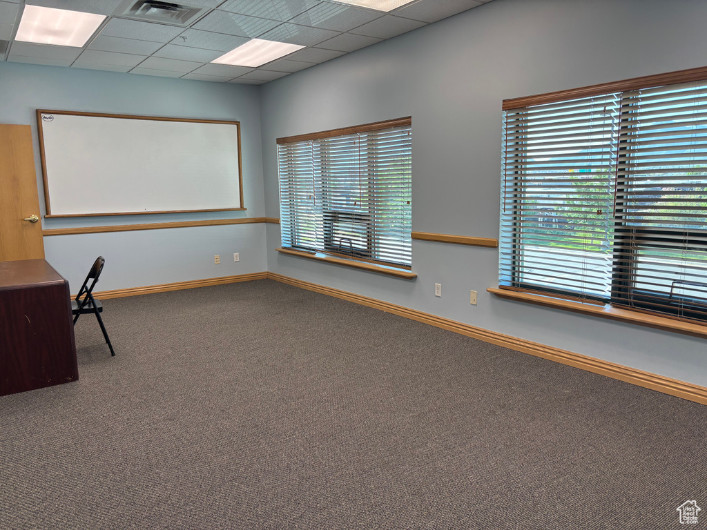 Unfurnished office featuring carpet, healthy amount of natural light, and a drop ceiling