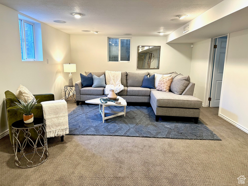 Carpeted living area with visible vents and a textured ceiling