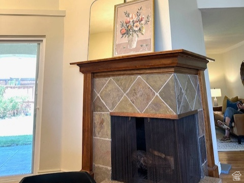 Details featuring wood finished floors and a tile fireplace