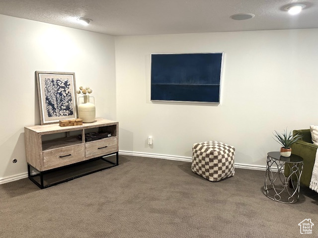 Sitting room with baseboards and dark colored carpet
