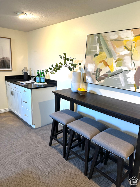 Interior space featuring dark colored carpet