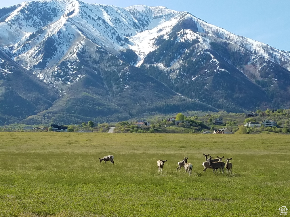 View of mountain feature with a rural view