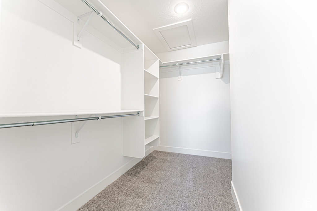 Spacious closet featuring light colored carpet and attic access
