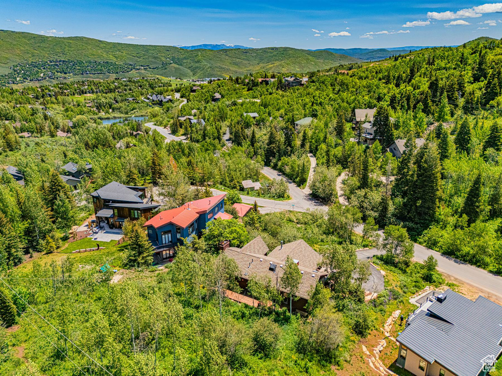 Drone / aerial view of a mountainous background and a heavily wooded area
