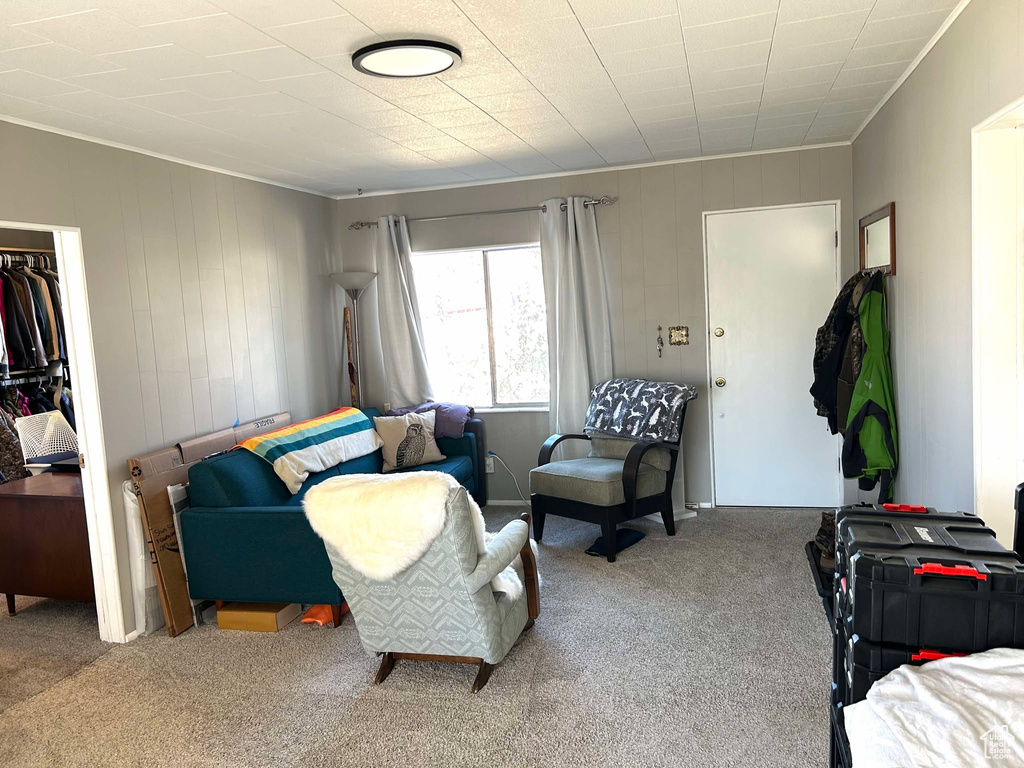 Carpeted living room with ornamental molding