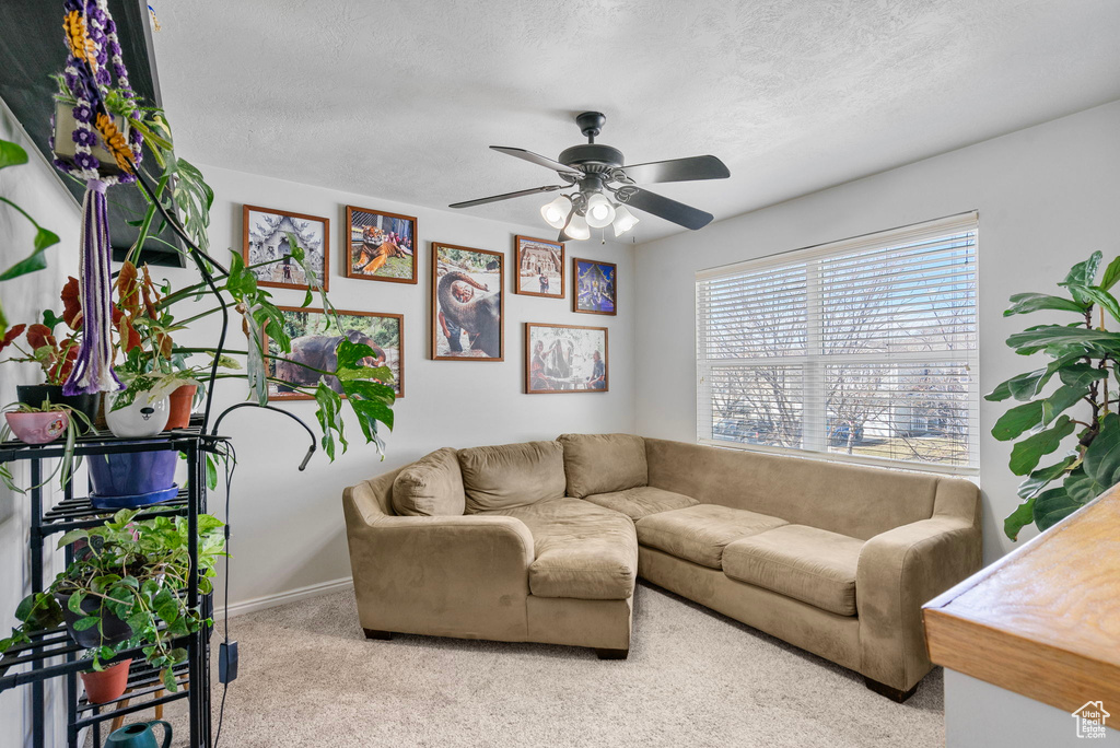 Living room featuring light carpet, ceiling fan, a textured ceiling, and baseboards