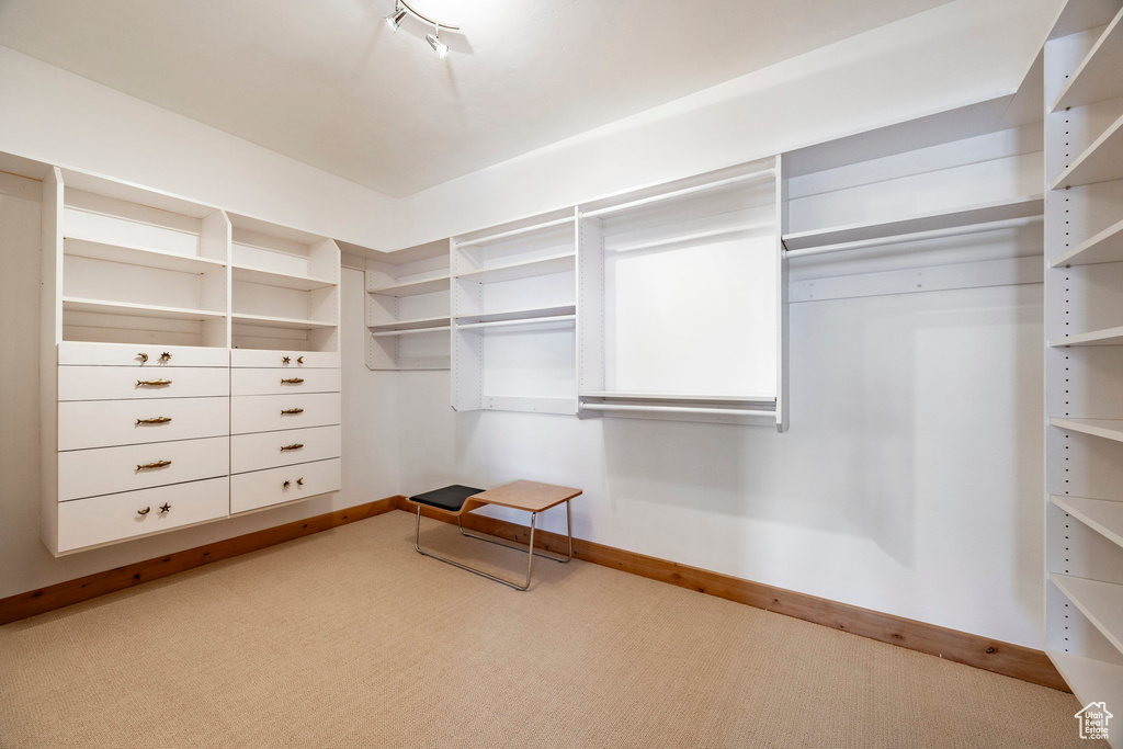 Spacious closet featuring light colored carpet