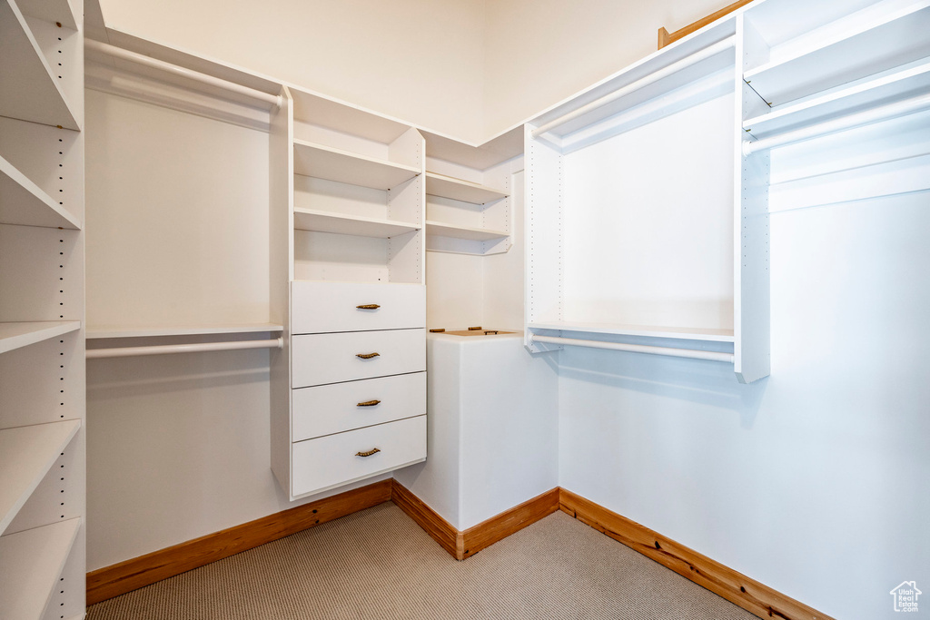 Walk in closet featuring carpet