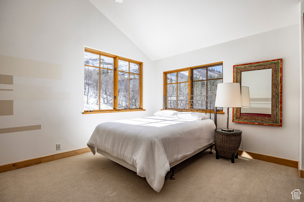 Carpeted bedroom featuring baseboards and high vaulted ceiling