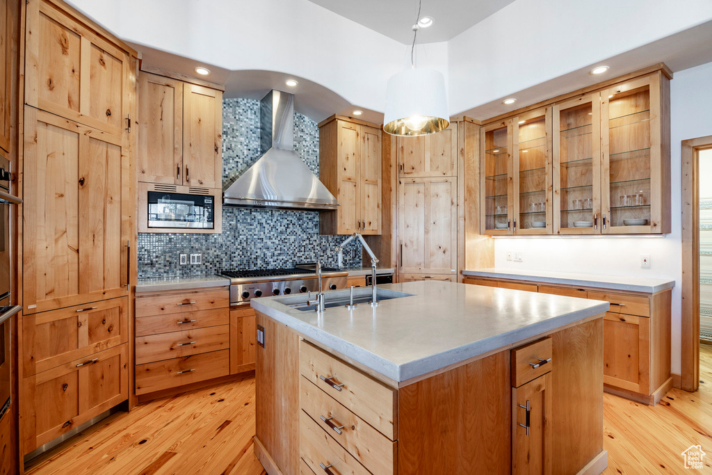 Kitchen featuring wall chimney range hood, appliances with stainless steel finishes, light wood finished floors, tasteful backsplash, and light countertops