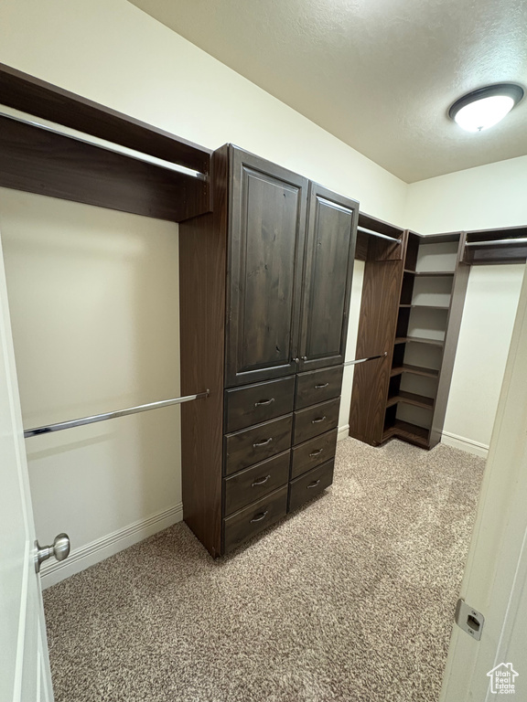 Walk in closet featuring carpet flooring