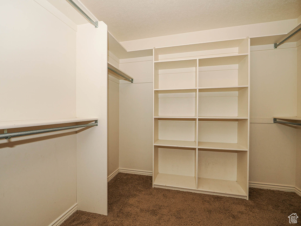 Spacious closet featuring dark carpet
