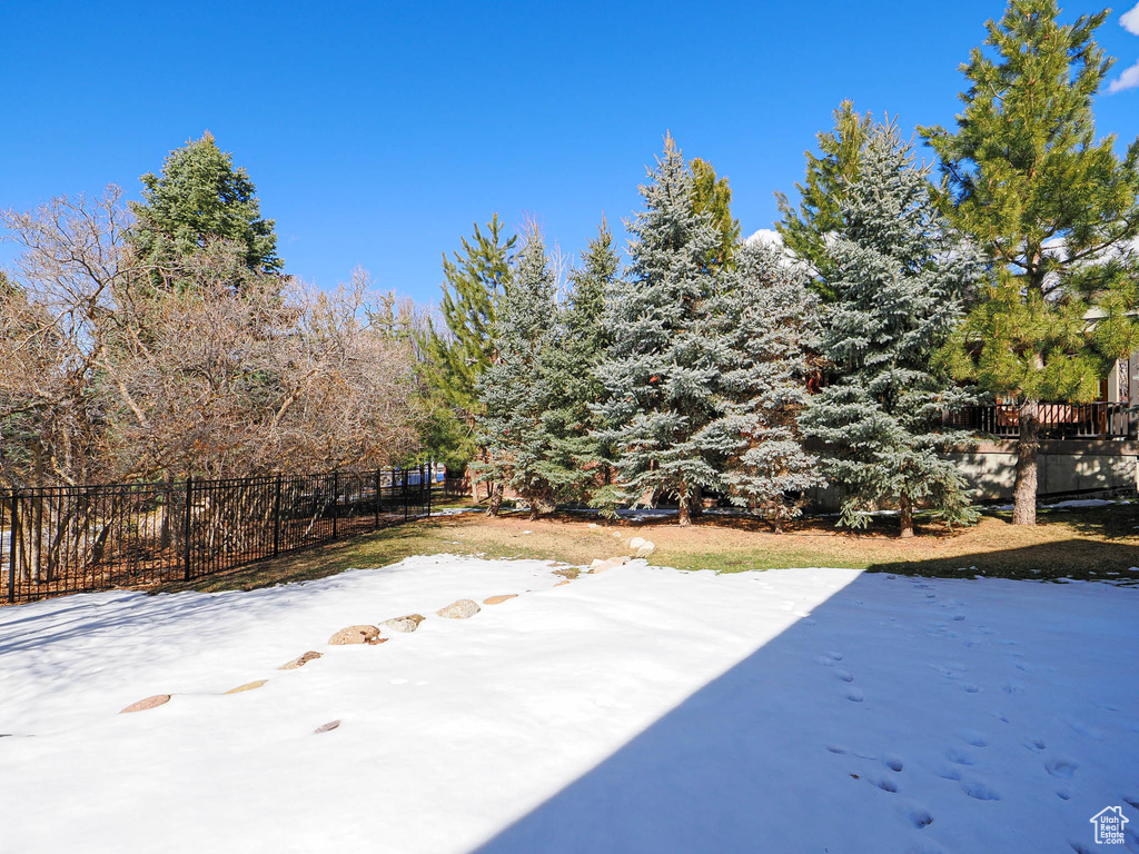 Snowy yard with fence