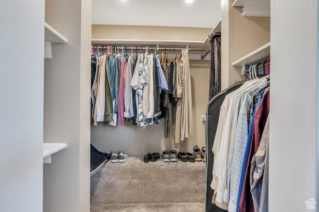 Spacious closet featuring carpet flooring