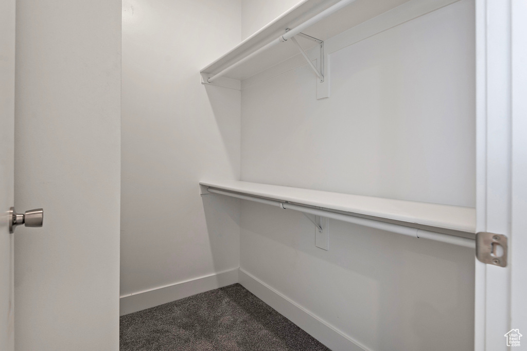 Spacious closet with dark colored carpet