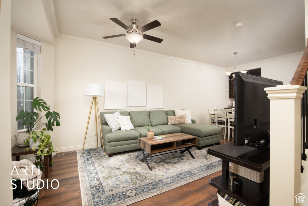 Living area featuring dark wood-style floors, ceiling fan, baseboards, and crown molding