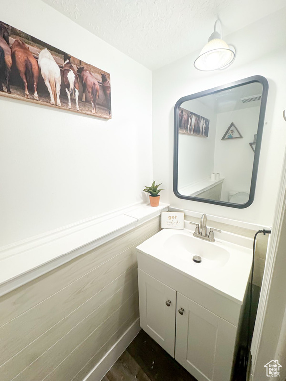 Bathroom featuring wood finished floors, a textured ceiling, and vanity