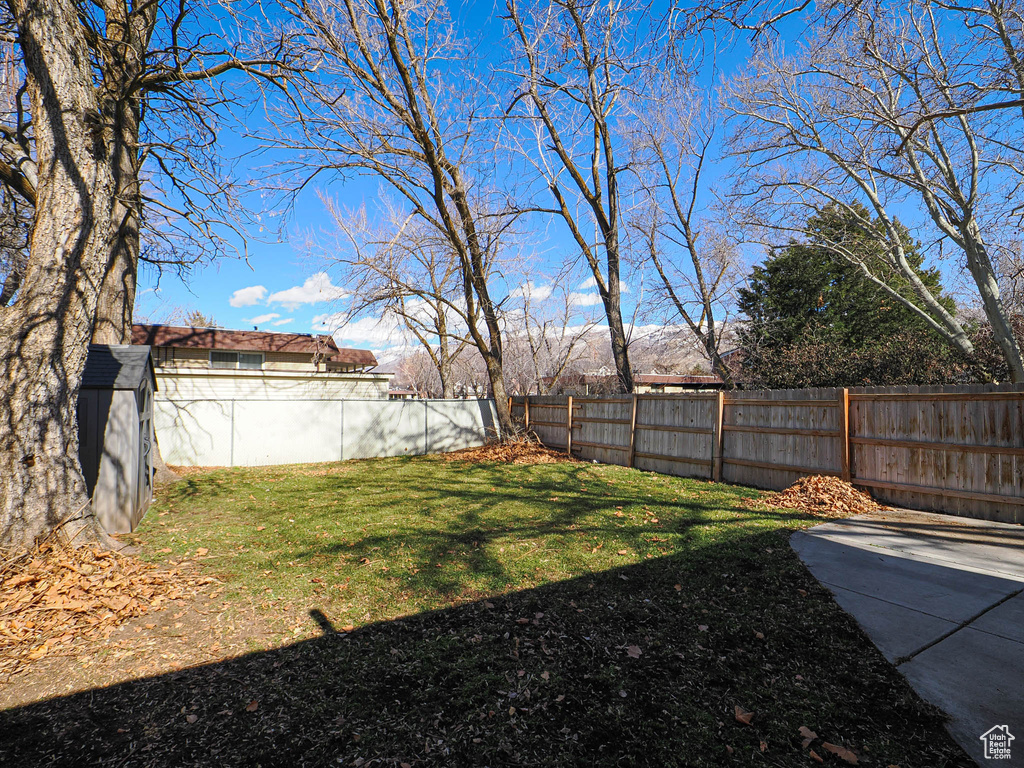 View of yard featuring a patio area, a fenced backyard, and a mountain view
