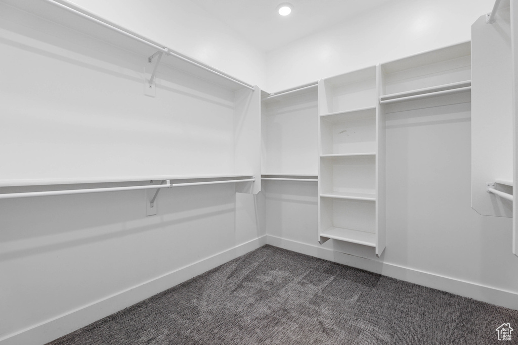 Spacious closet featuring dark carpet