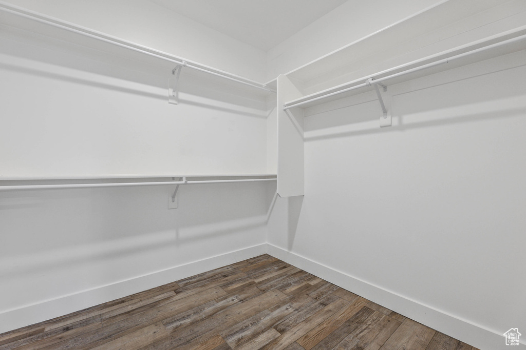Walk in closet featuring dark wood-style floors