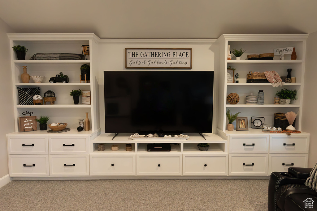 Living area with light colored carpet