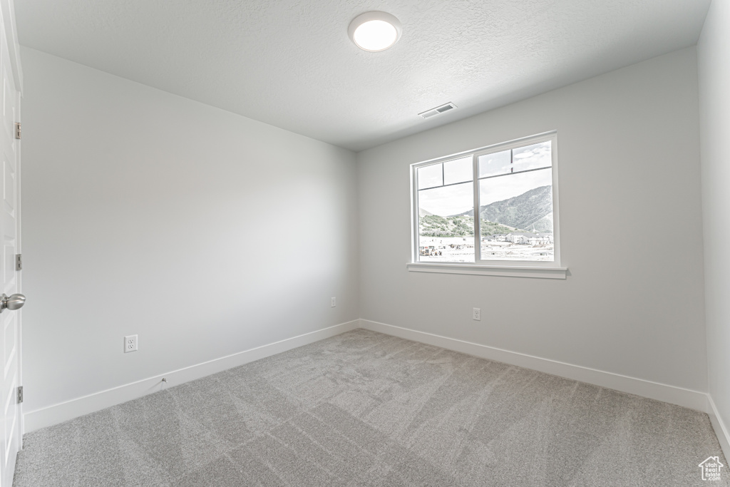 Empty room featuring carpet flooring, baseboards, and a textured ceiling