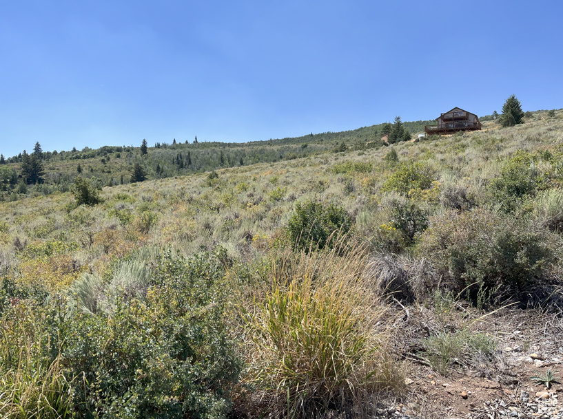 3335 S MULES EAR CIR Garden City, UT 84028