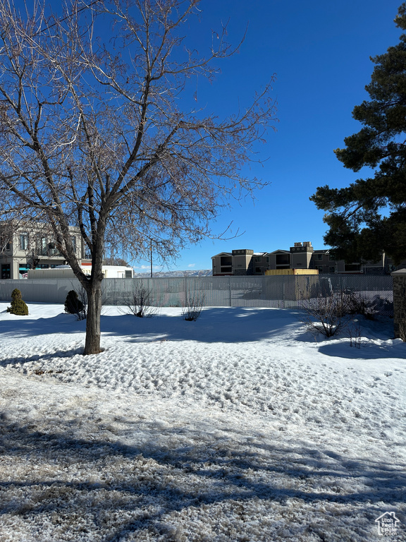 Snowy yard with fence