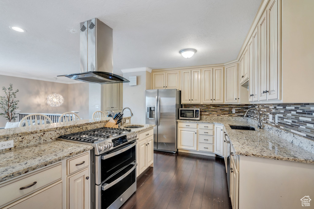 Kitchen with a sink, appliances with stainless steel finishes, cream cabinetry, light stone countertops, and island exhaust hood