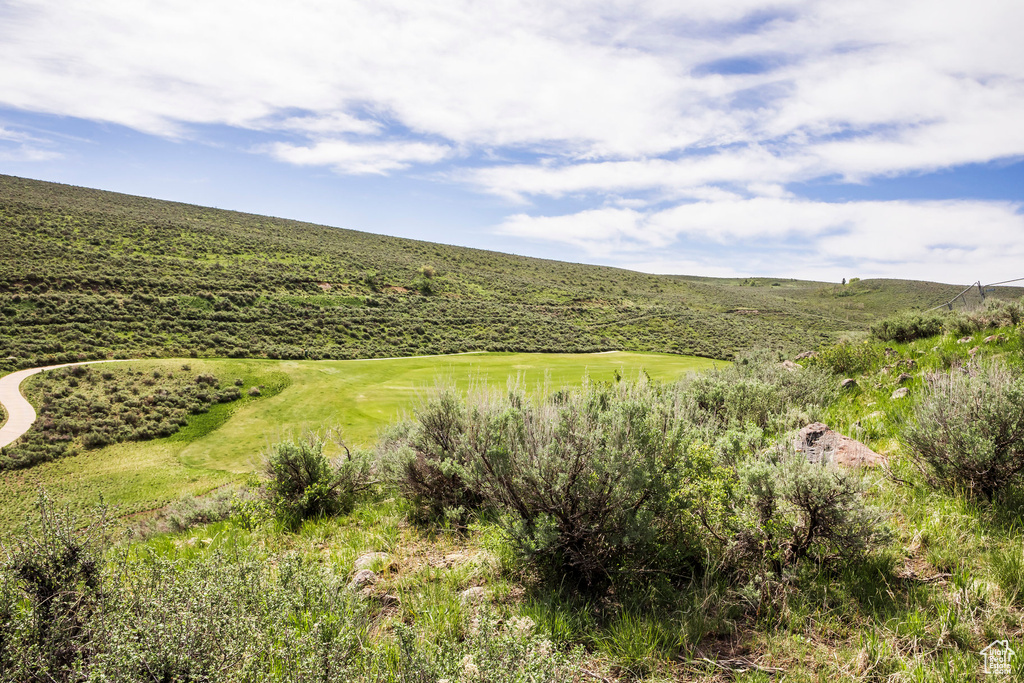 View of undeveloped land