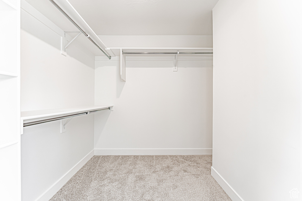 Walk in closet featuring carpet floors