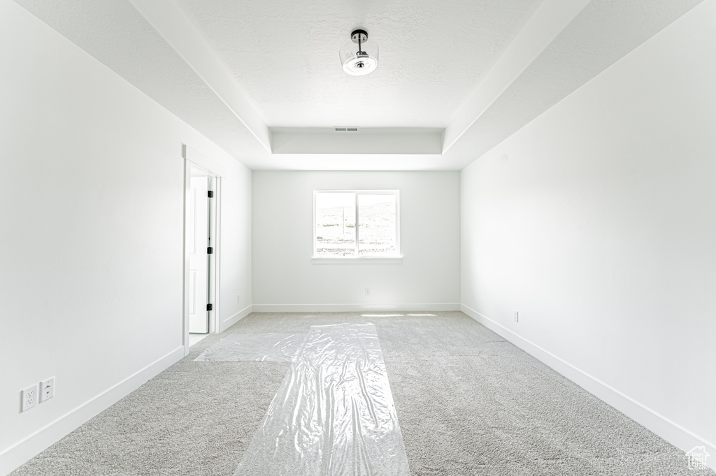 Spare room with light carpet, a tray ceiling, and baseboards
