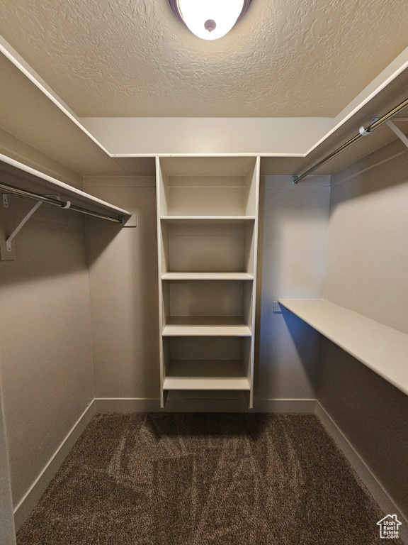 Walk in closet with dark carpet