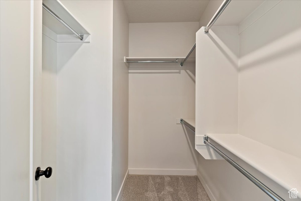Walk in closet with carpet flooring