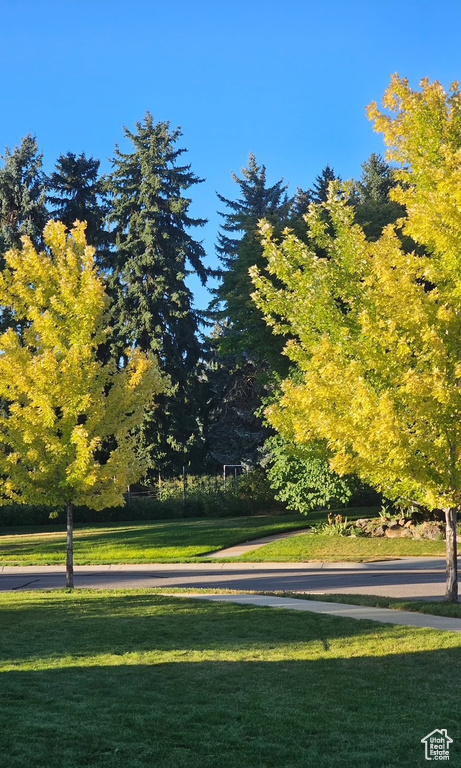 Surrounding community with a yard