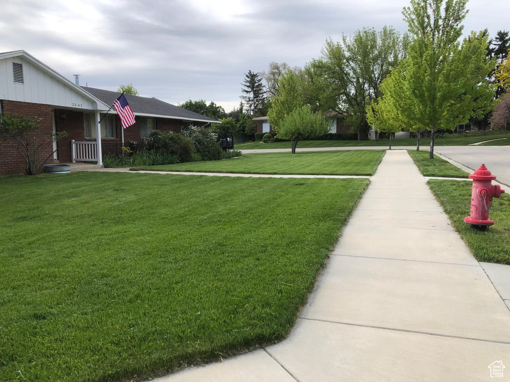 View of grassy yard