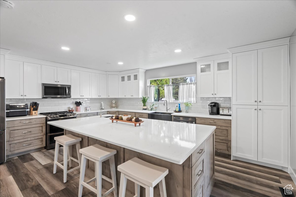 Kitchen with stainless steel appliances, tasteful backsplash, a sink, dark wood finished floors, and recessed lighting