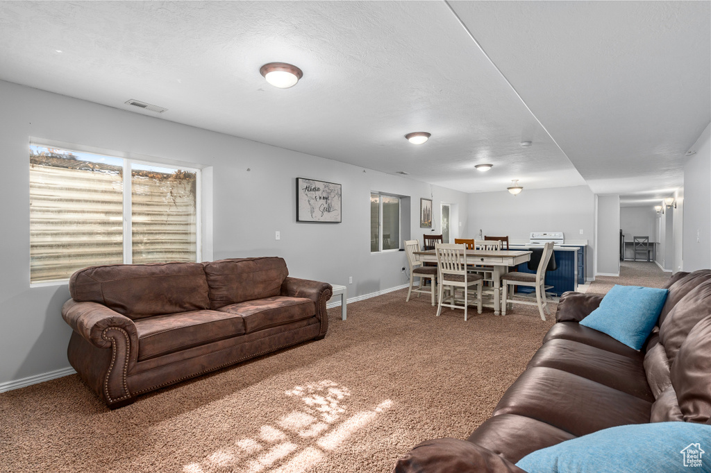 Living area with a textured ceiling, carpet floors, visible vents, and baseboards