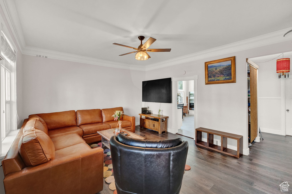 Living room featuring ceiling fan, dark wood-style flooring, baseboards, and crown molding