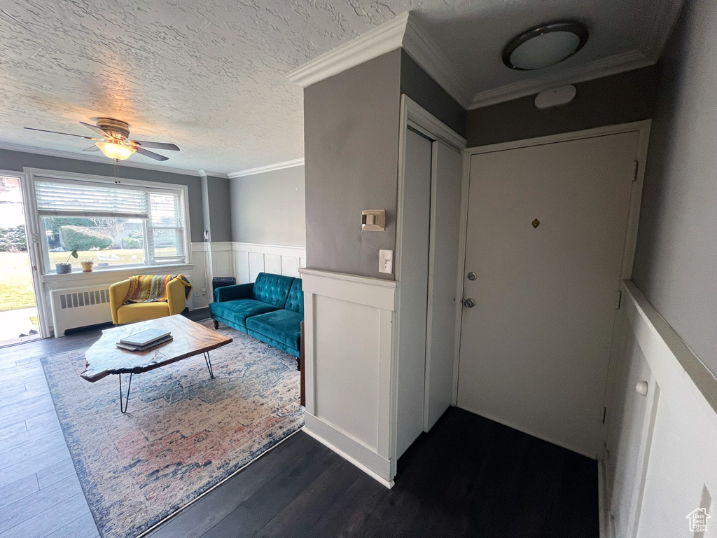 Hall with wainscoting, dark wood-style floors, radiator, ornamental molding, and a textured ceiling