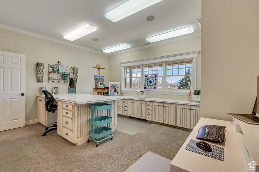 Office area with light carpet and crown molding