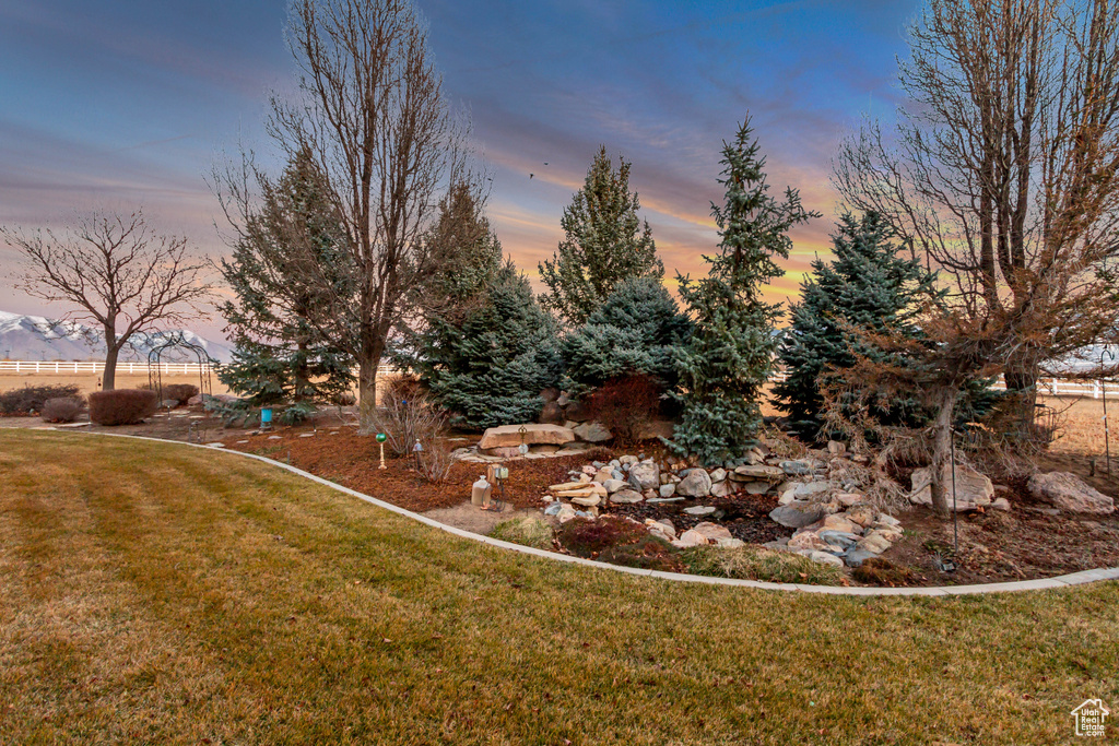 View of yard at dusk