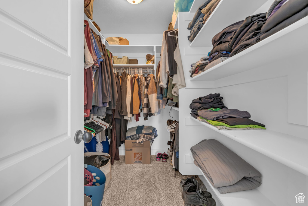 Walk in closet featuring carpet