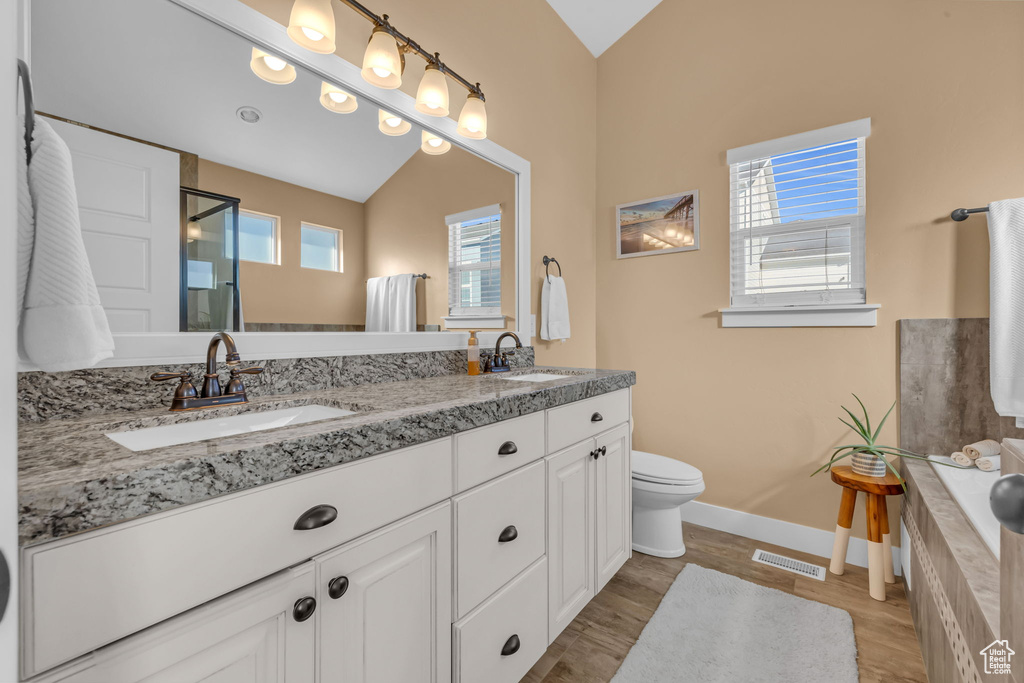 Full bath with plenty of natural light, a sink, and visible vents