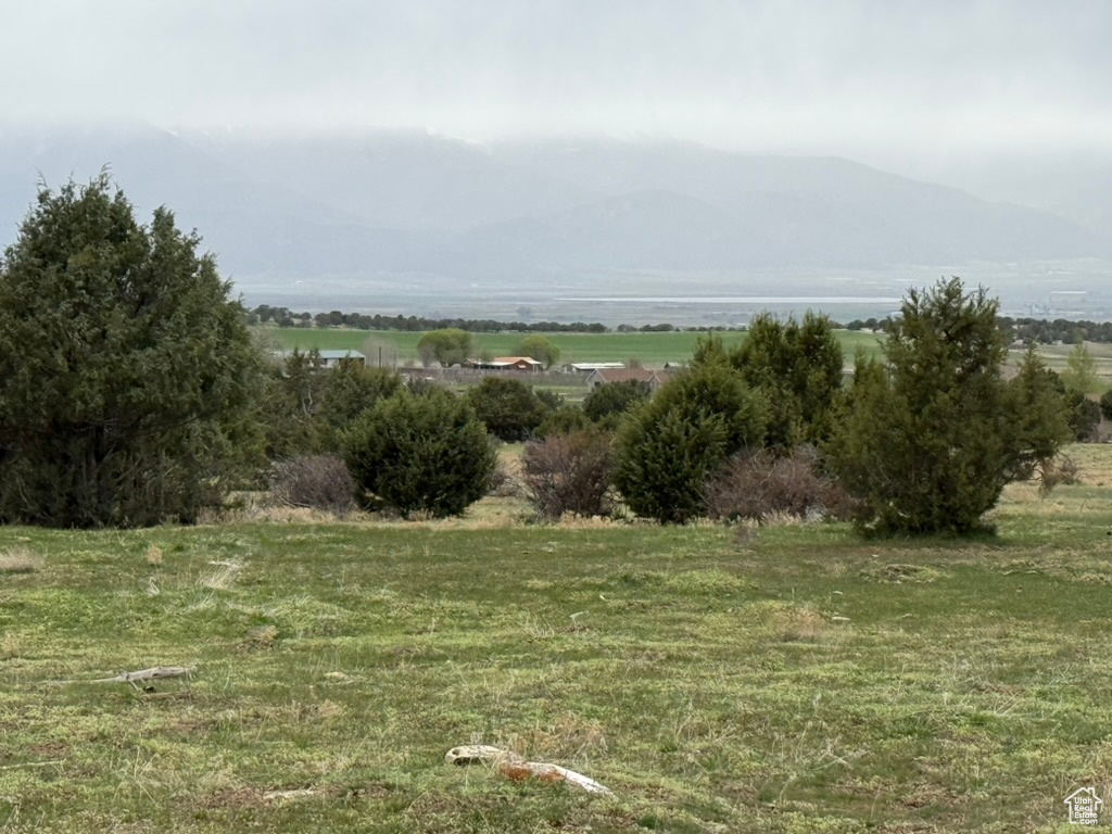 View of local wilderness featuring a mountain view and a rural view