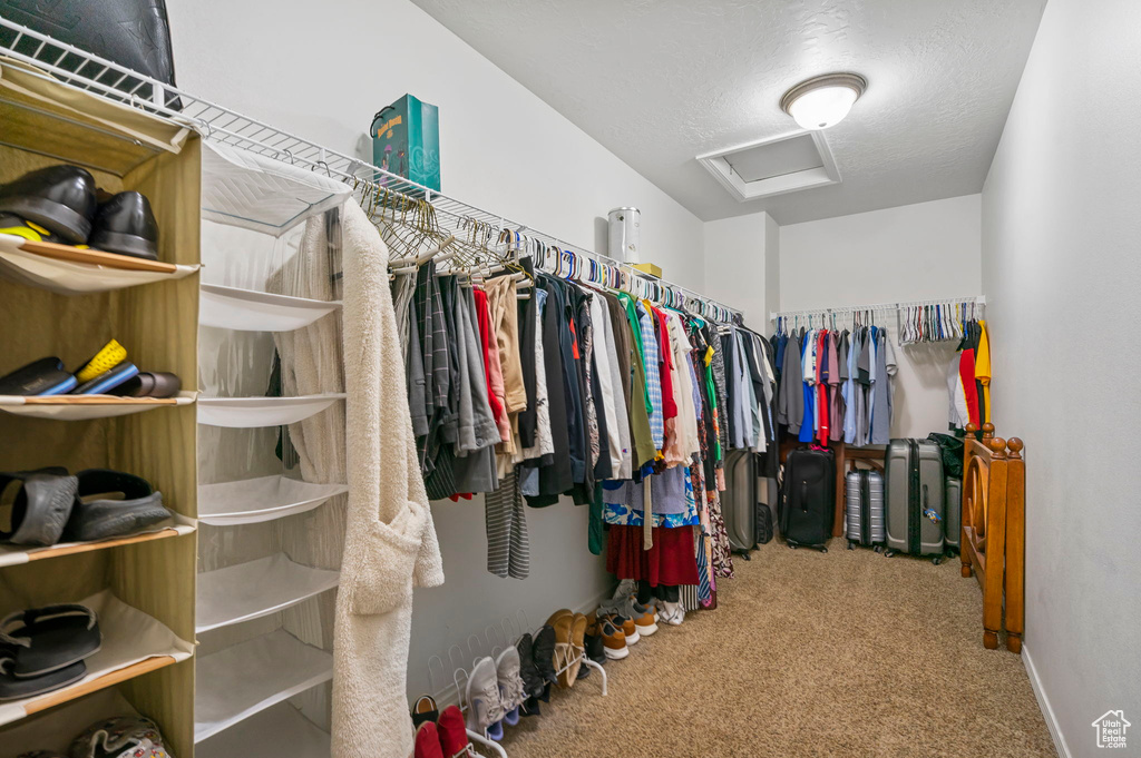 Walk in closet featuring carpet floors and attic access