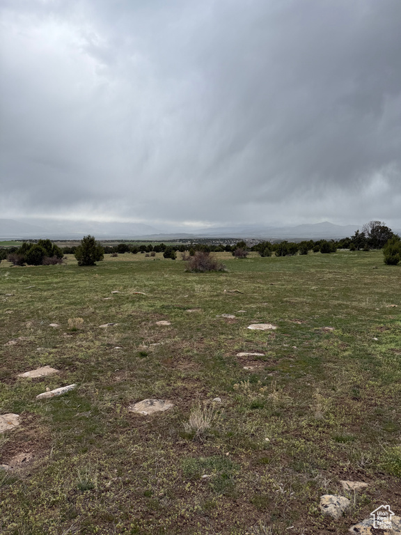 View of yard with a rural view