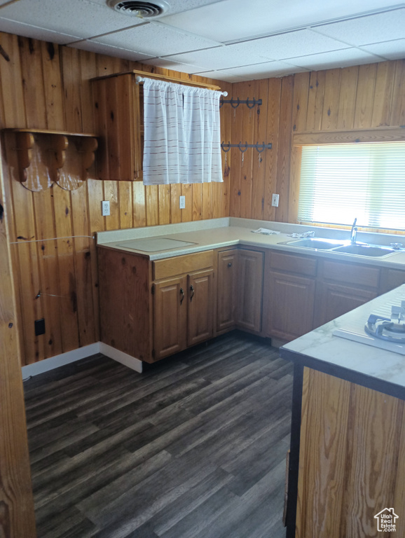 Kitchen with wooden walls, dark wood-style flooring, light countertops, a paneled ceiling, and a sink