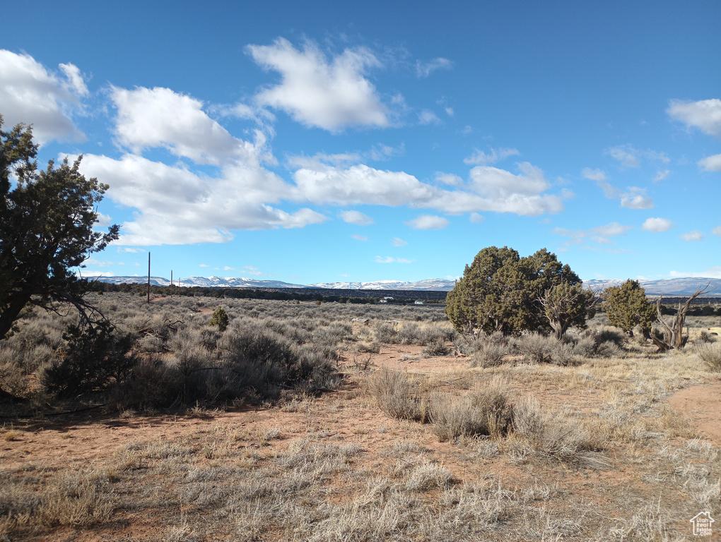 View of local wilderness with a mountain view and a rural view